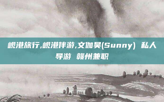 扬州岘港旅行,岘港伴游,文伽昊(Sunny) 私人导游 赣州兼职